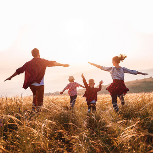 logo Robby Bolleyn website