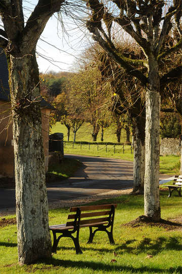 Bild Bank im Park