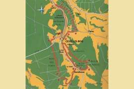 Beeld Wandelen in het bos en langs het water